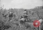 Image civils palestiniens Ramat Rahel Palestine, 1938, de la seconde 50 séquences d'archives historiques vidéo 65675062961
