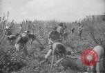 Image civils palestiniens Ramat Rahel Palestine, 1938, de la seconde 51 séquences d'archives historiques vidéo 65675062961