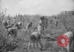 Image civils palestiniens Ramat Rahel Palestine, 1938, de la seconde 52 séquences d'archives historiques vidéo 65675062961