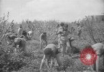Image civils palestiniens Ramat Rahel Palestine, 1938, de la seconde 53 séquences d'archives historiques vidéo 65675062961