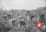 Image civils palestiniens Ramat Rahel Palestine, 1938, de la seconde 54 séquences d'archives historiques vidéo 65675062961