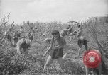 Image civils palestiniens Ramat Rahel Palestine, 1938, de la seconde 57 séquences d'archives historiques vidéo 65675062961