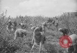 Image civils palestiniens Ramat Rahel Palestine, 1938, de la seconde 59 séquences d'archives historiques vidéo 65675062961