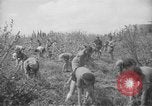 Image civils palestiniens Ramat Rahel Palestine, 1938, de la seconde 60 séquences d'archives historiques vidéo 65675062961
