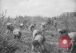 Image civils palestiniens Ramat Rahel Palestine, 1938, de la seconde 61 séquences d'archives historiques vidéo 65675062961