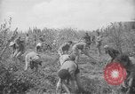 Image civils palestiniens Ramat Rahel Palestine, 1938, de la seconde 62 séquences d'archives historiques vidéo 65675062961