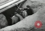 Image of excavation work Africa, 1955, second 35 stock footage video 65675062963