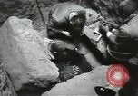 Image of excavation work Africa, 1955, second 50 stock footage video 65675062963