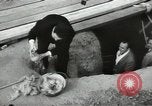 Image of excavation work Africa, 1955, second 58 stock footage video 65675062963