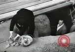 Image of excavation work Africa, 1955, second 59 stock footage video 65675062963