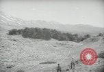 Standbild Zedern Libanon, 1945, aus Sekunde 34 historischem Filmmaterial Videoclip 65675062967