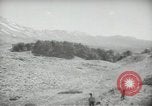 Standbild Zedern Libanon, 1945, aus Sekunde 37 historischem Filmmaterial Videoclip 65675062967