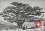 Standbild Zedern Libanon, 1945, aus Sekunde 51 historischem Filmmaterial Videoclip 65675062967