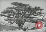 Standbild Zedern Libanon, 1945, aus Sekunde 52 historischem Filmmaterial Videoclip 65675062967