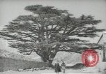Standbild Zedern Libanon, 1945, aus Sekunde 53 historischem Filmmaterial Videoclip 65675062967