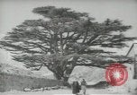 Standbild Zedern Libanon, 1945, aus Sekunde 54 historischem Filmmaterial Videoclip 65675062967