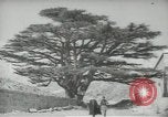Standbild Zedern Libanon, 1945, aus Sekunde 55 historischem Filmmaterial Videoclip 65675062967