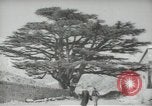 Standbild Zedern Libanon, 1945, aus Sekunde 56 historischem Filmmaterial Videoclip 65675062967