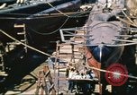 Image of United States civilians Hawaii USA, 1942, second 37 stock footage video 65675062972