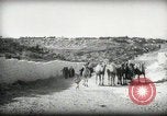 Standbild kleiner Junge zu Fuß und mit Kamelen Amman Transjordan, 1945, aus Sekunde 5 historischem Filmmaterial Videoclip 65675062976