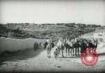 Standbild kleiner Junge zu Fuß und mit Kamelen Amman Transjordan, 1945, aus Sekunde 9 historischem Filmmaterial Videoclip 65675062976