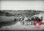 Standbild kleiner Junge zu Fuß und mit Kamelen Amman Transjordan, 1945, aus Sekunde 10 historischem Filmmaterial Videoclip 65675062976