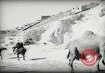 Standbild kleiner Junge zu Fuß und mit Kamelen Amman Transjordan, 1945, aus Sekunde 24 historischem Filmmaterial Videoclip 65675062976