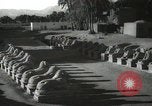 Immagine di Monumenti egiziano Egitto, 1938, secondo 37 filmato di repertorio 65675062978