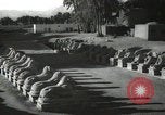 Immagine di Monumenti egiziano Egitto, 1938, secondo 38 filmato di repertorio 65675062978