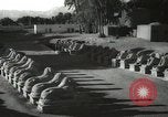 Immagine di Monumenti egiziano Egitto, 1938, secondo 39 filmato di repertorio 65675062978