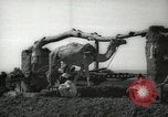 Immagine di Ruota ad acqua Egitto, 1938, secondo 3 filmato di repertorio 65675062979