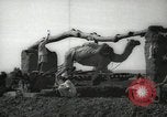 Immagine di Ruota ad acqua Egitto, 1938, secondo 4 filmato di repertorio 65675062979