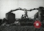 Immagine di Ruota ad acqua Egitto, 1938, secondo 8 filmato di repertorio 65675062979