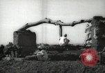 Immagine di Ruota ad acqua Egitto, 1938, secondo 11 filmato di repertorio 65675062979