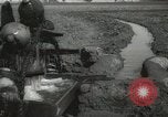 Immagine di Ruota ad acqua Egitto, 1938, secondo 19 filmato di repertorio 65675062979