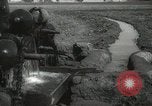 Immagine di Ruota ad acqua Egitto, 1938, secondo 23 filmato di repertorio 65675062979