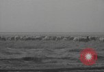 Image of dust storm damage during dust bowl Texas United States USA, 1935, second 61 stock footage video 65675063004
