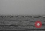 Image of dust storm damage during dust bowl Texas United States USA, 1935, second 62 stock footage video 65675063004