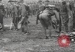 Image of World War I American soldiers building barracks United States USA, 1917, second 30 stock footage video 65675063006