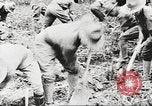 Image of World War I American soldiers building barracks United States USA, 1917, second 57 stock footage video 65675063006