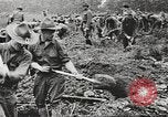 Image of World War I American soldiers building barracks United States USA, 1917, second 61 stock footage video 65675063006