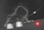 Standbild Bombardierung von Ballale Insel Ballale Salomonen, 1943, aus Sekunde 21 historischem Filmmaterial Videoclip 65675063012