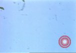 Image of Japanese planes bombing Midway Island in World War II Midway Island, 1942, second 49 stock footage video 65675063019
