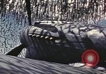Image of Names on various P-47 aircraft World War 2 United States USA, 1942, second 45 stock footage video 65675063029