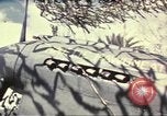 Image of Names on various P-47 aircraft World War 2 United States USA, 1942, second 57 stock footage video 65675063029