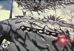 Image of Names on various P-47 aircraft World War 2 United States USA, 1942, second 58 stock footage video 65675063029