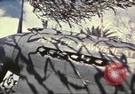 Image of Names on various P-47 aircraft World War 2 United States USA, 1942, second 59 stock footage video 65675063029