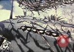 Image of Names on various P-47 aircraft World War 2 United States USA, 1942, second 62 stock footage video 65675063029