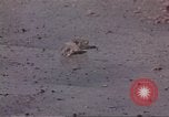 Immagine di Marina degli Stati Uniti il personale Oceano Pacifico, 1942, secondo 32 filmato di repertorio 65675063032