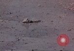 Immagine di Marina degli Stati Uniti il personale Oceano Pacifico, 1942, secondo 33 filmato di repertorio 65675063032